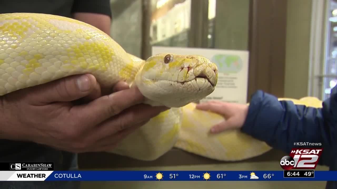 Animal world snake farm zoo offers guests an up close animal 